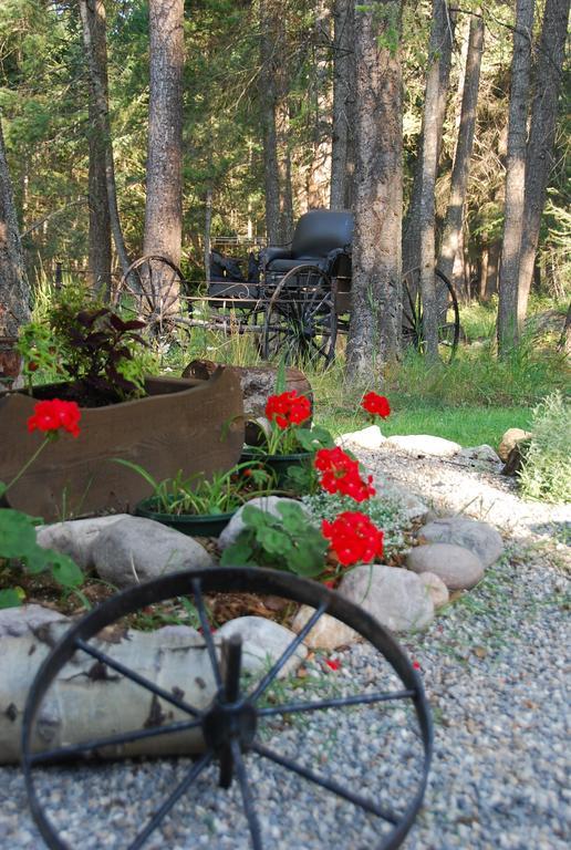 Kicking Horse Canyon Guest Houseゴールデン エクステリア 写真