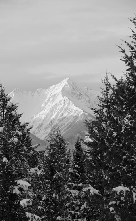 Kicking Horse Canyon Guest Houseゴールデン エクステリア 写真