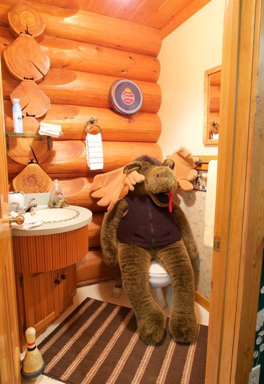 Kicking Horse Canyon Guest Houseゴールデン エクステリア 写真