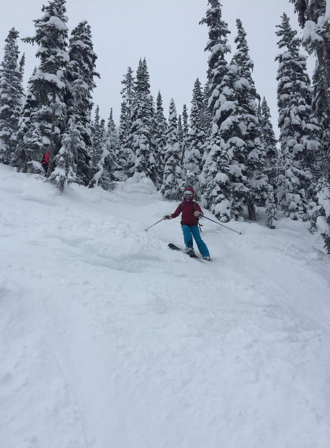 Kicking Horse Canyon Guest Houseゴールデン エクステリア 写真