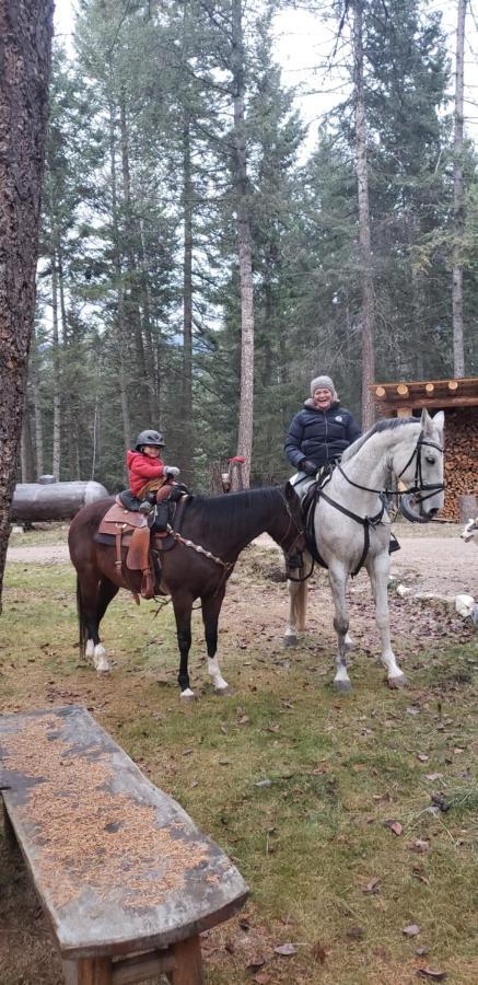 Kicking Horse Canyon Guest Houseゴールデン エクステリア 写真