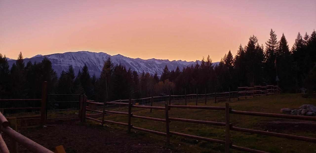 Kicking Horse Canyon Guest Houseゴールデン エクステリア 写真