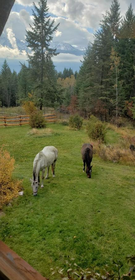 Kicking Horse Canyon Guest Houseゴールデン エクステリア 写真